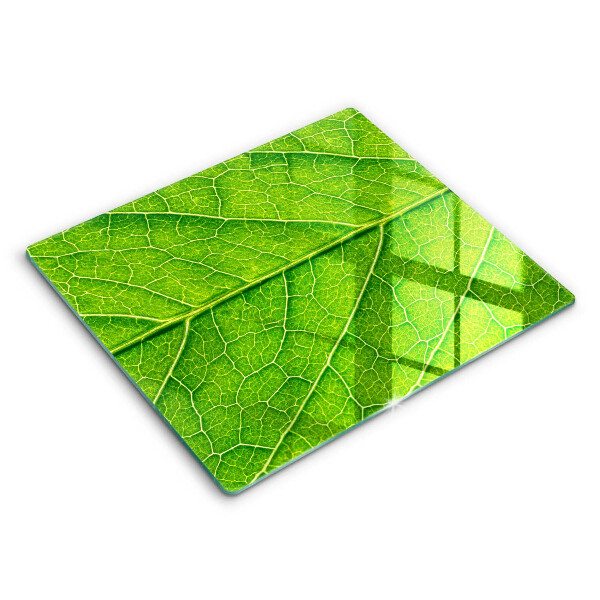 Tocător de bucătărie modern Natura venelor frunzelor 60x52 cm