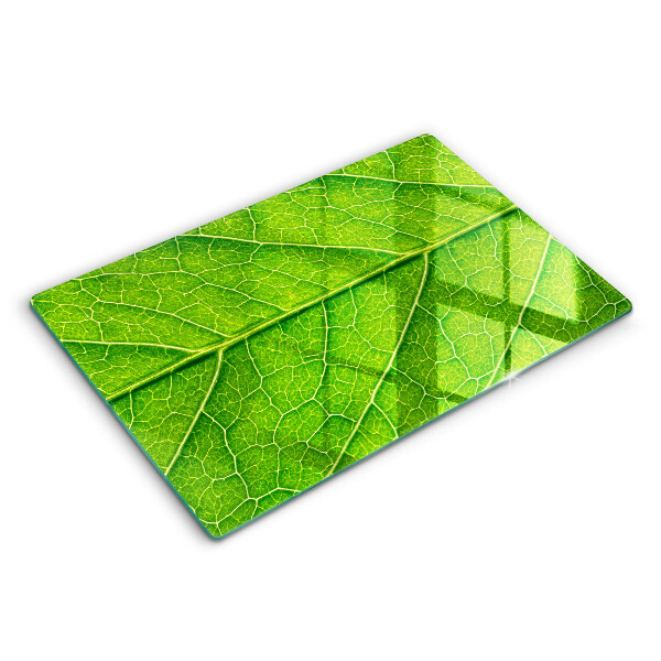 Tocător sticlă modern Natura venelor frunzelor 80x52 cm