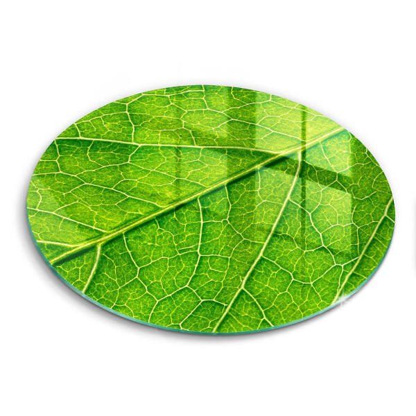 Tocător din sticlă original Natura venelor frunzelor