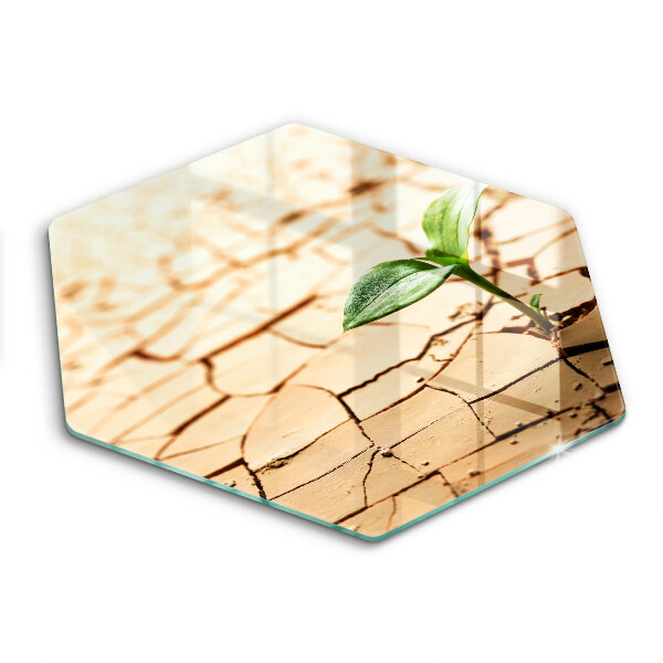 Tocător sticlă hexagonal O plantă singuratică