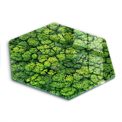 Tocător din sticlă hexagonal Plante naturale mușchi