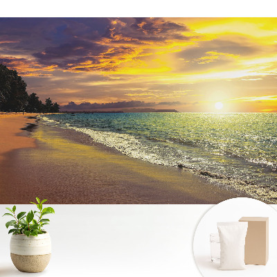 Peisaj de plajă uimitor