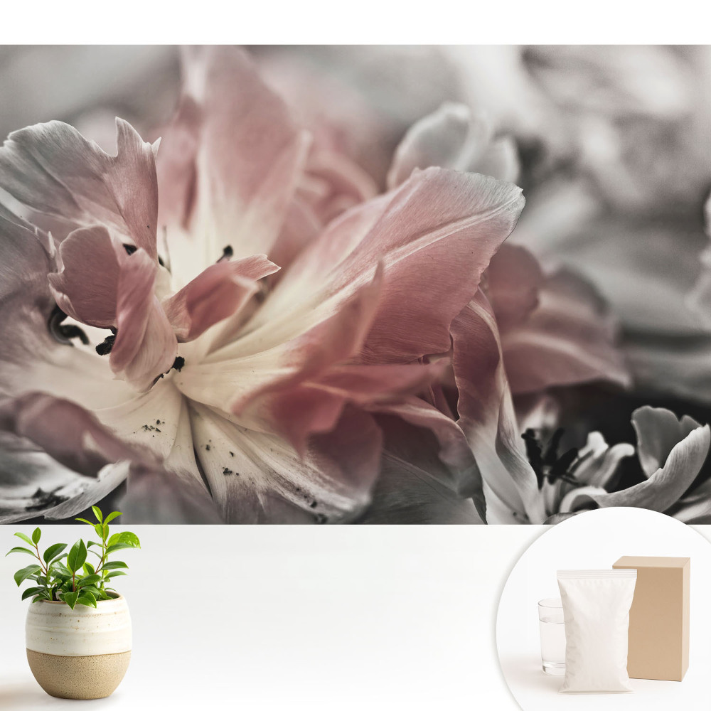 Prim-plan al petalelor delicate de flori