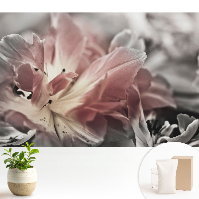 Prim-plan al petalelor delicate de flori