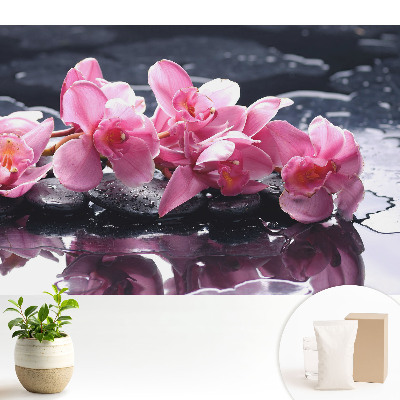 Orhidee roz pe pietre