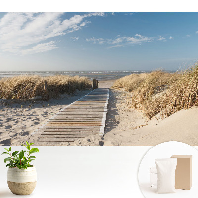 Calea de pe malul mării printre dune