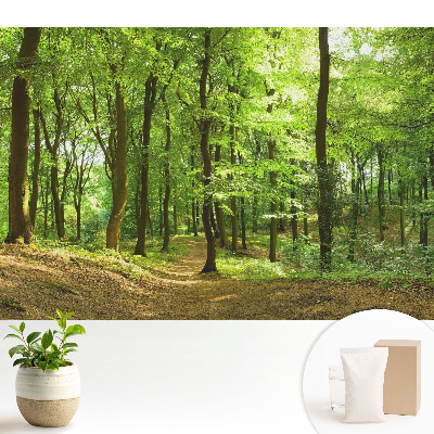 Pădure verde proaspătă