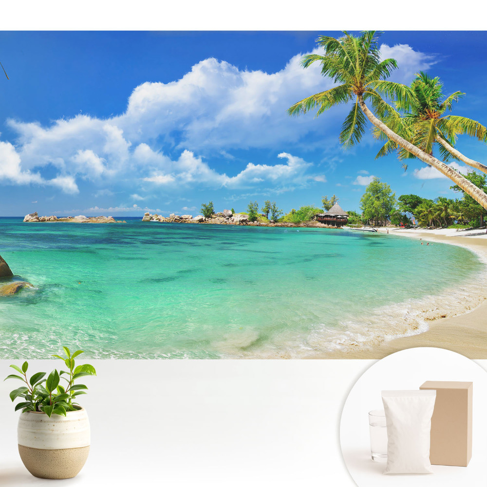 Palmieri exotici pe plajă