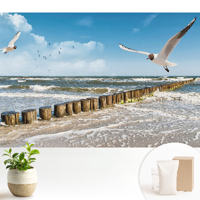 Pescăruși deasupra mării