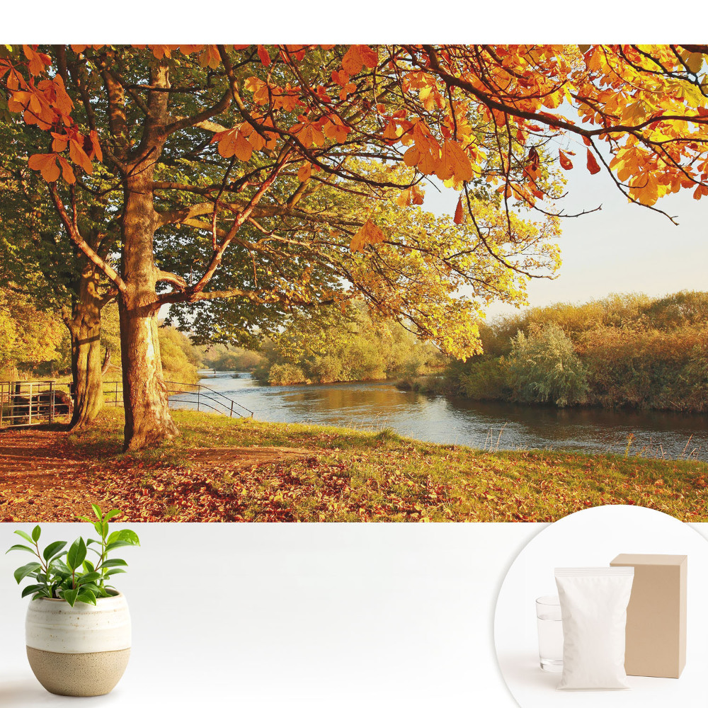 Peisaj de râu de toamnă cu culori calme