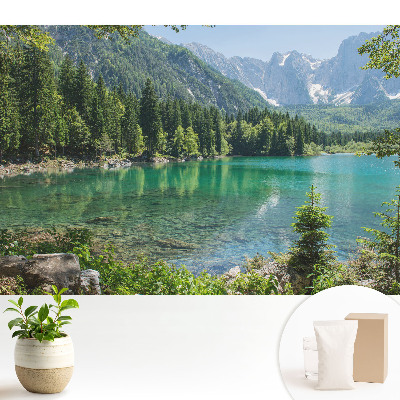 Frumusețe și armonie naturală