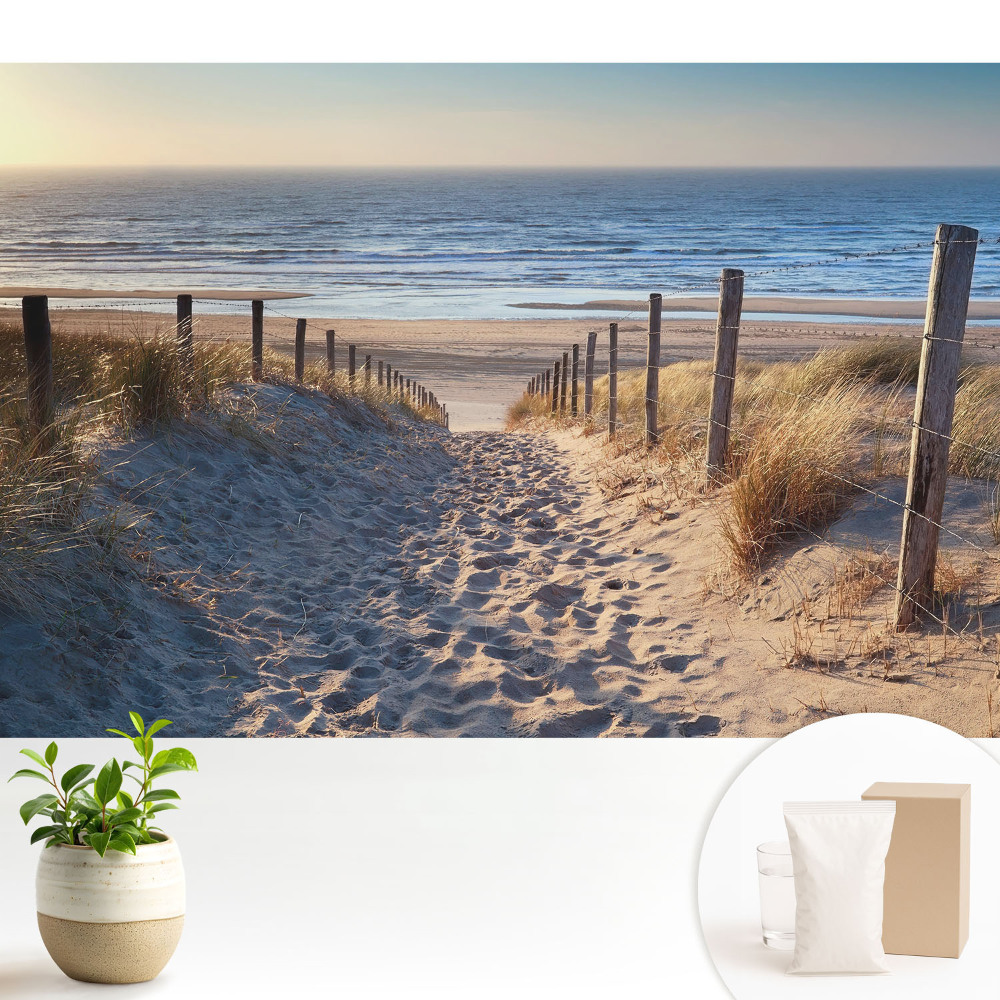 Calea prin dune spre mare