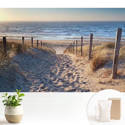 Calea prin dune spre mare