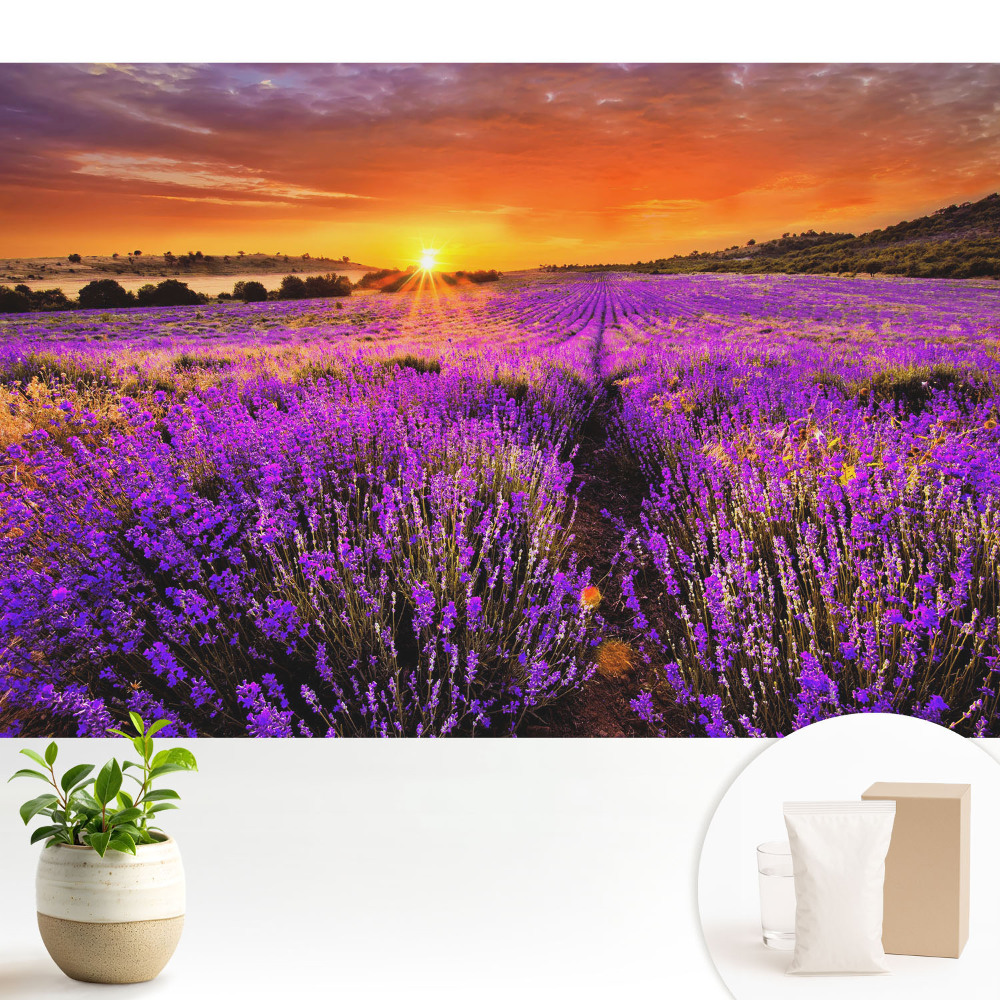 Apus de soare pe câmpurile de lavandă