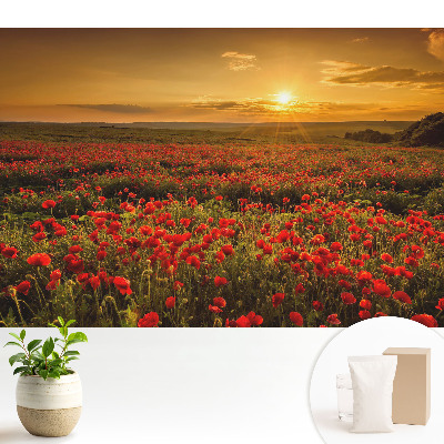 Apus de soare într-un câmp de maci