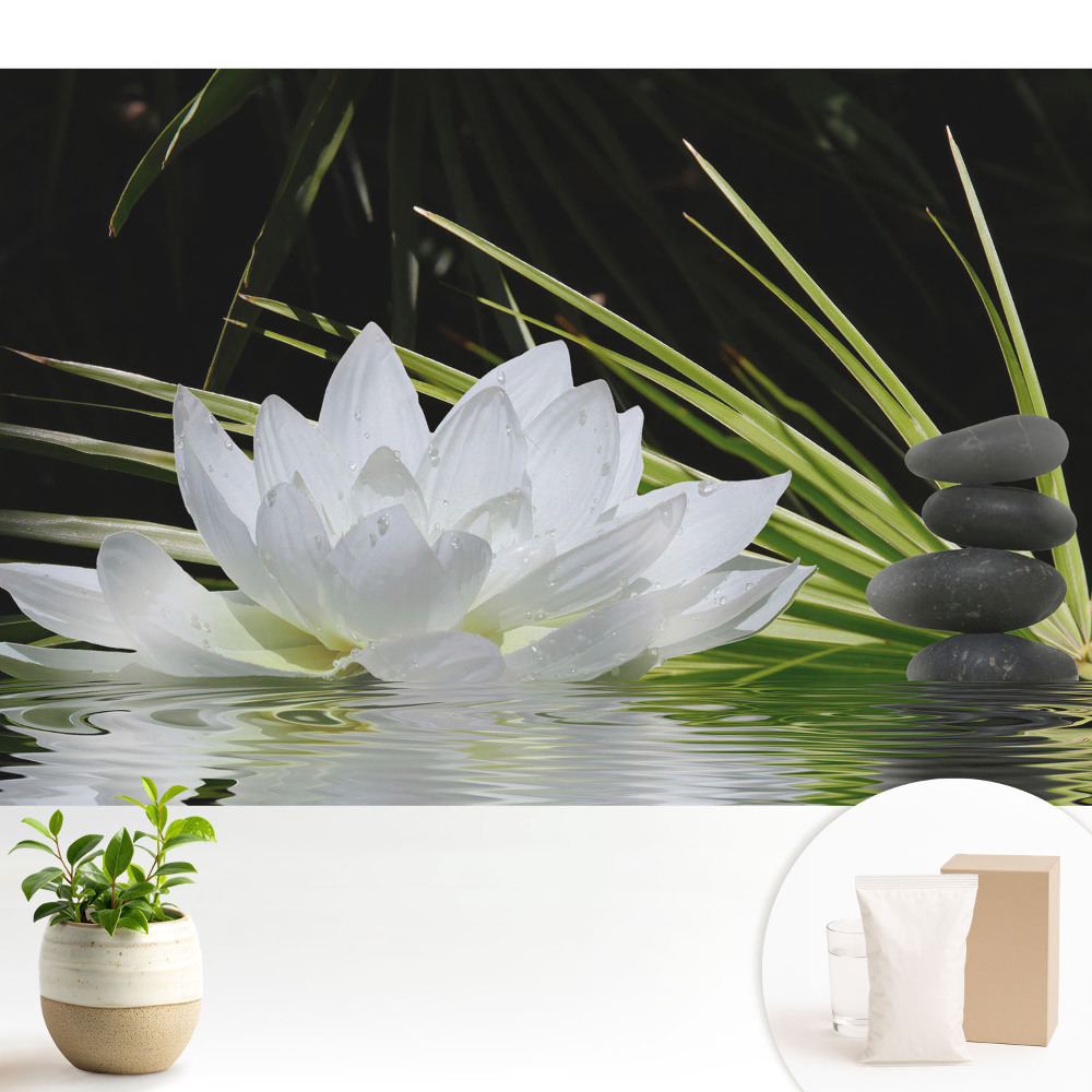 Meditație cu pietre de crin alb