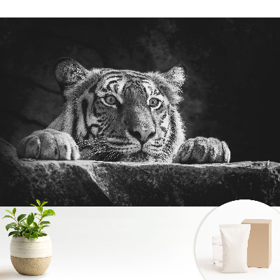 Tigru în alb și negru