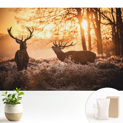 Cerbi de toamnă în lumina răsăritului