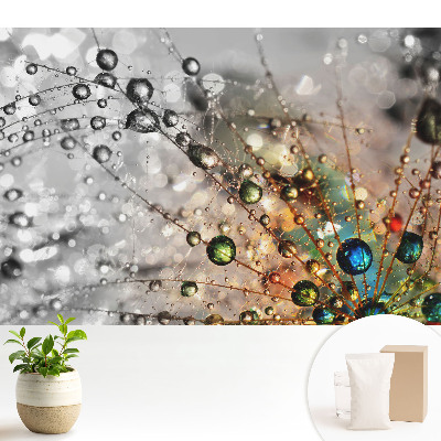 Culorile picăturilor de pe pânza de păianjen