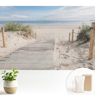 Intrarea pe plajă printre dune