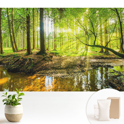 Pace în pădure, lumină, pârâu