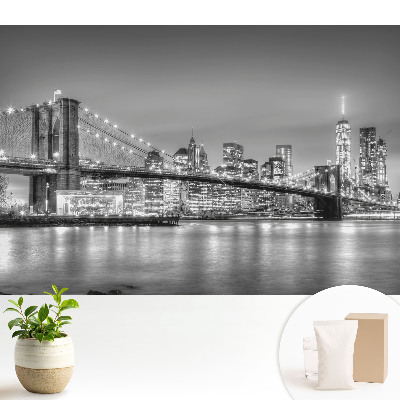 Panoramă nocturnă a metropolei, podului și zgârie-norilor