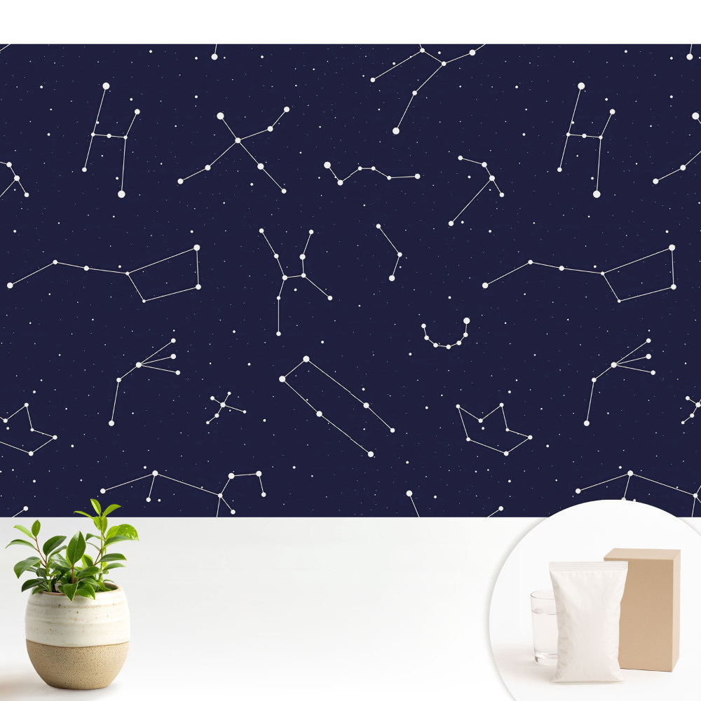 Model de noapte Cosmos