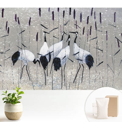 Macari eleganți printre iarbă