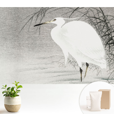 Stârc pe fundalul stufului