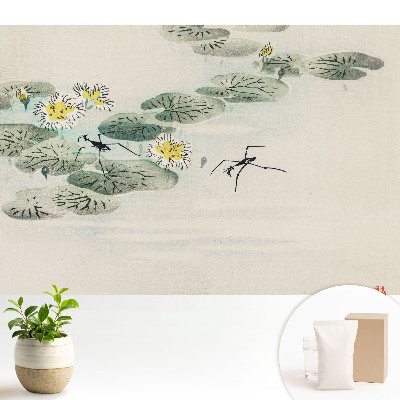 Nuferi pe fundalul apei