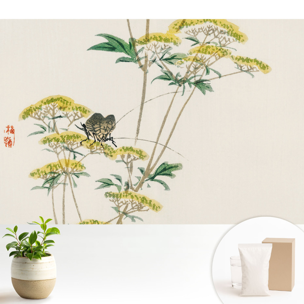 Flori subtile, insecte, armonie, natură