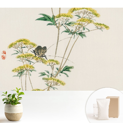 Flori subtile, insecte, armonie, natură