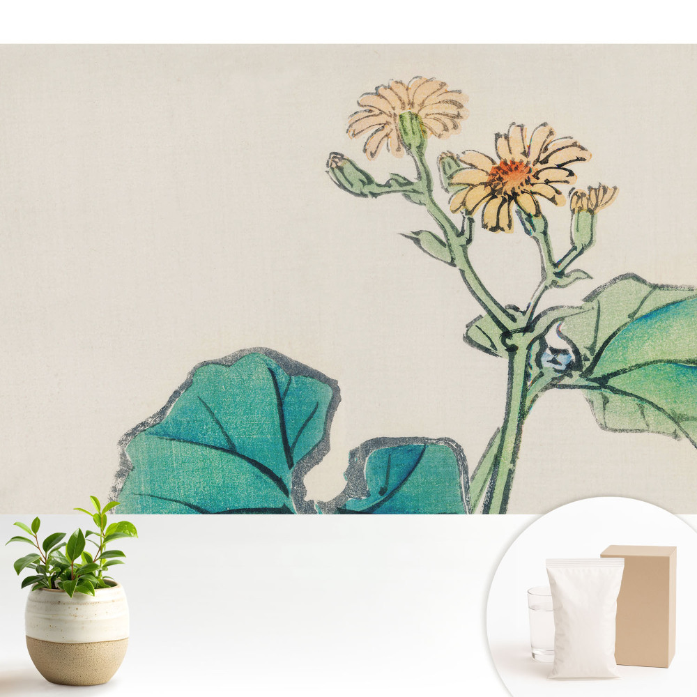 O floare delicată pe un fundal de frunze verzi