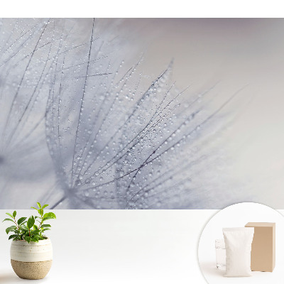 Macro de picături pe fibrele de păpădie