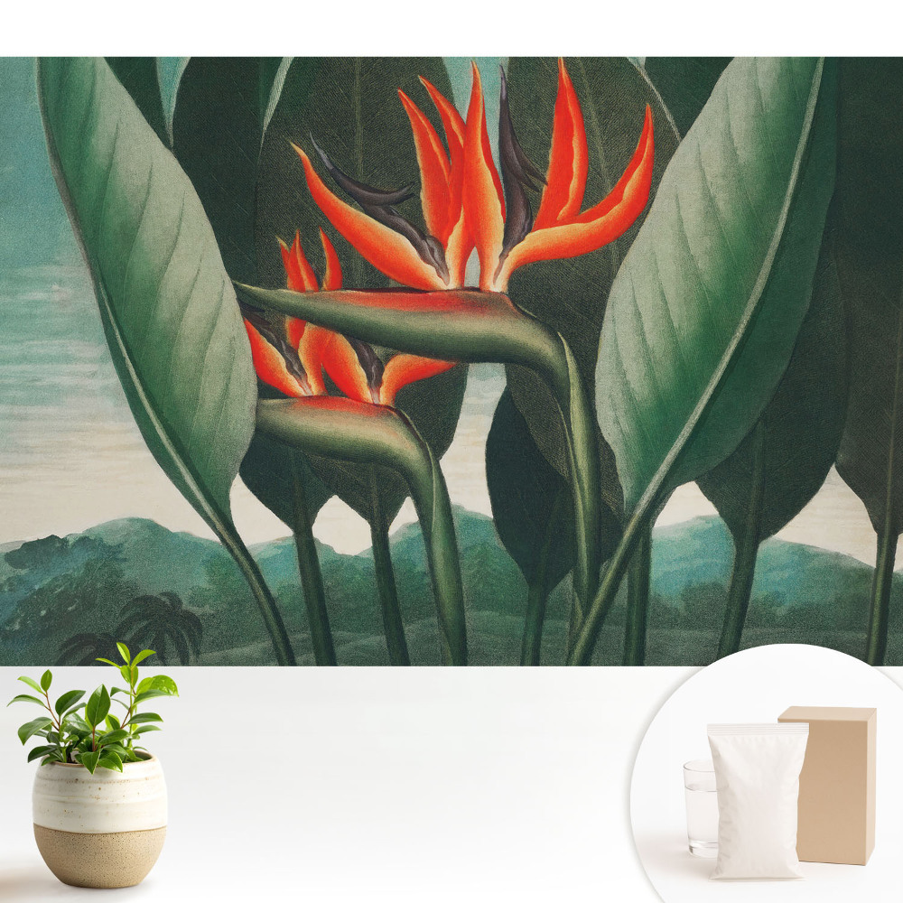 Plante exotice pe un fundal verde