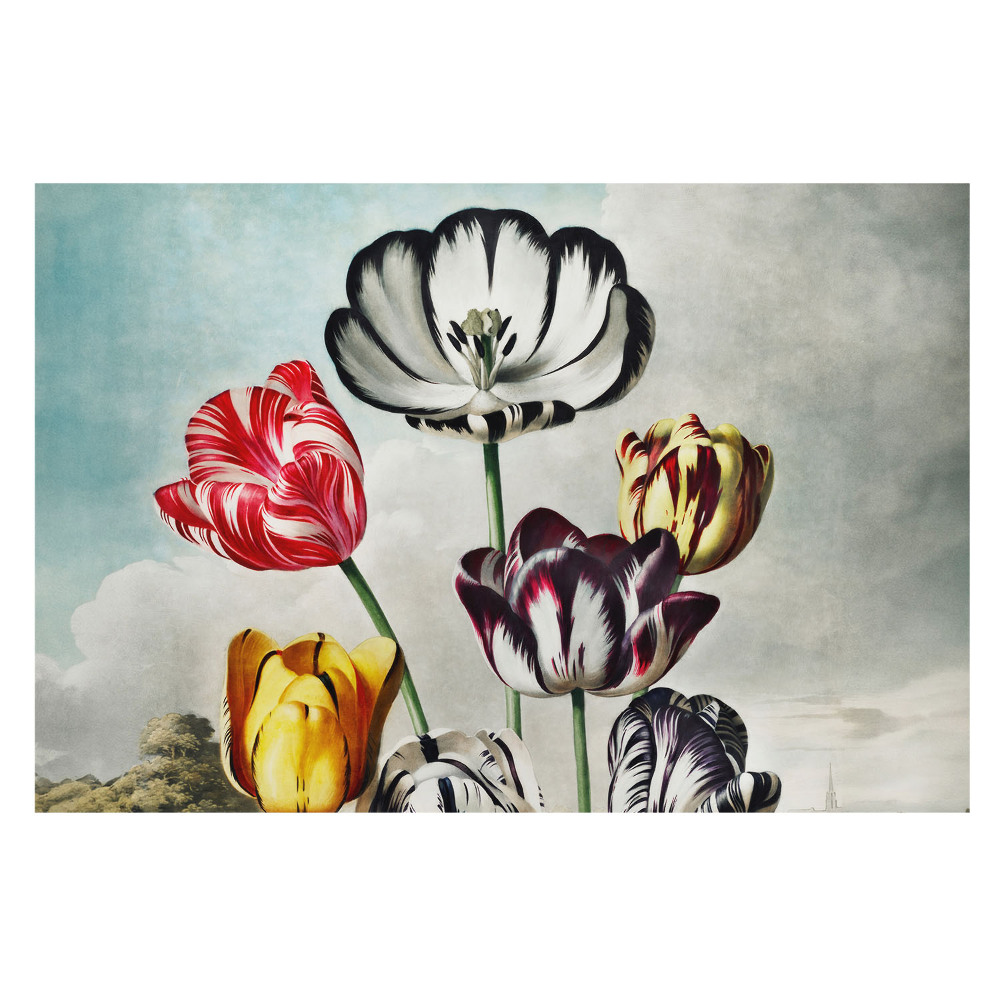 Buchet de lalele cu aspect clasic