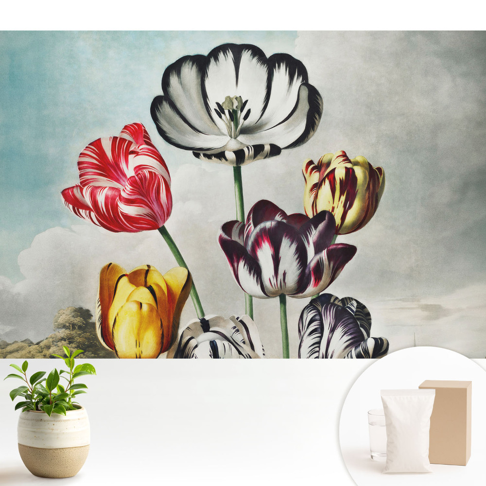 Buchet de lalele, eleganță clasică