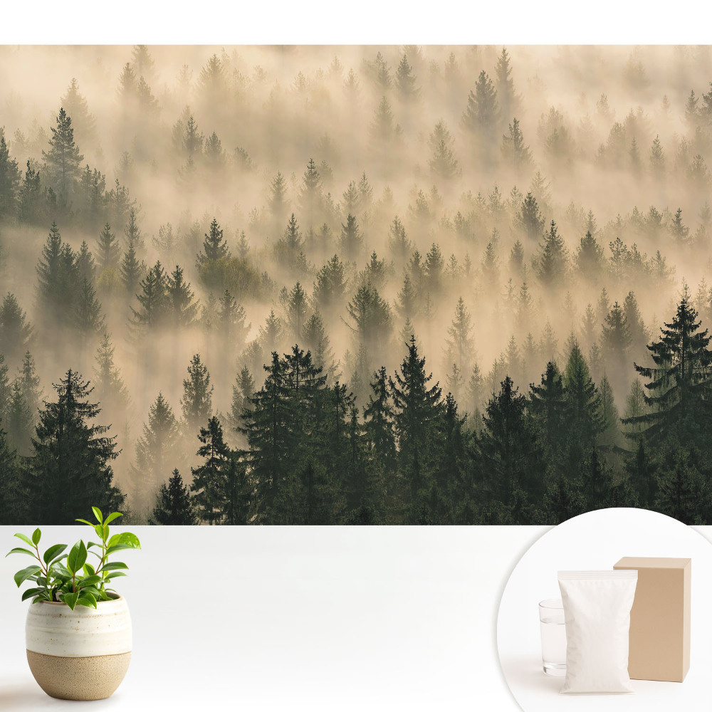 Pădurea în ceața dimineții