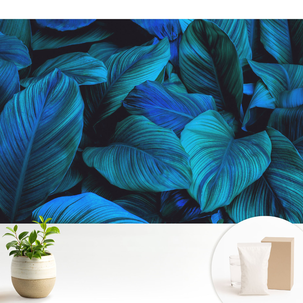 Frunze albastre adâncimea naturii