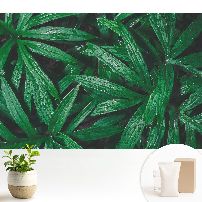 Prim-plan al frunzelor