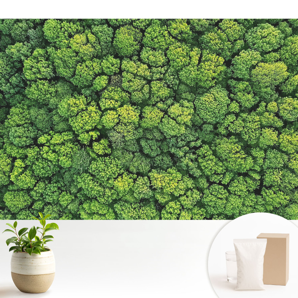 Pădurea verde de sus