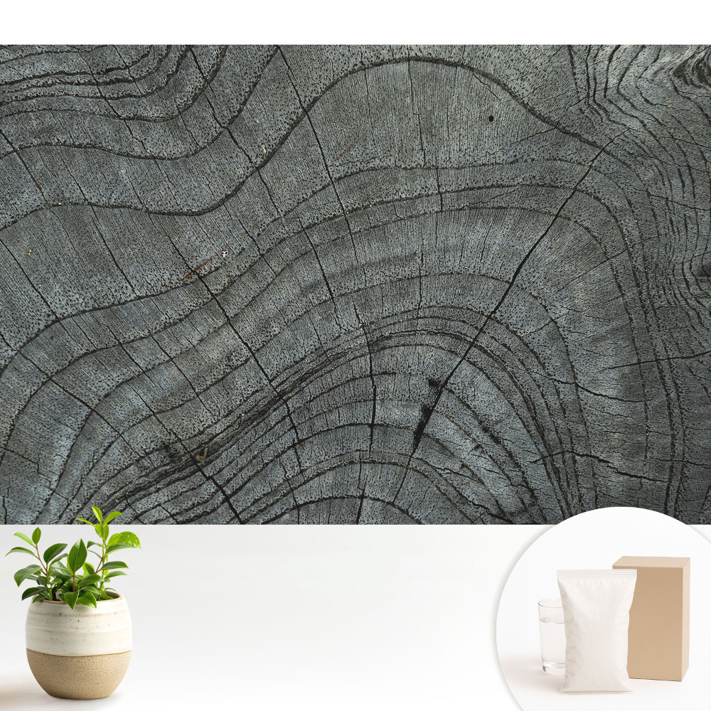 Simetrie rustică a fibrei lemnului