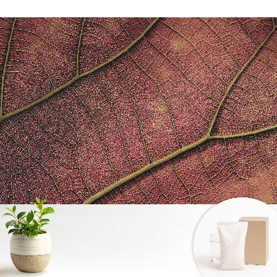 Structura frunzei este plină de detalii și culori