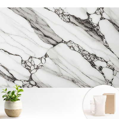 Vene negre pe un fundal de piatră albă