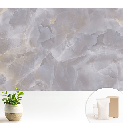 Eleganță subtilă marmorată a interioarelor