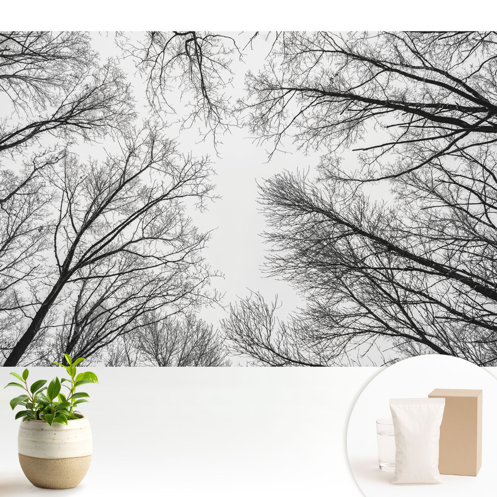 Copaci de iarnă alb-negru