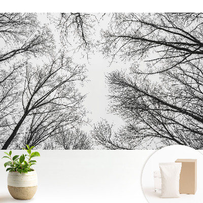 Copaci de iarnă alb-negru