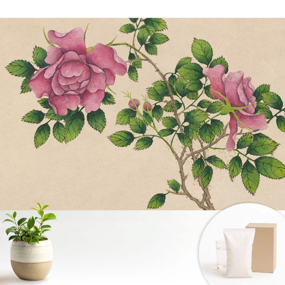 Frumusețea trandafirului într-un stil clasic