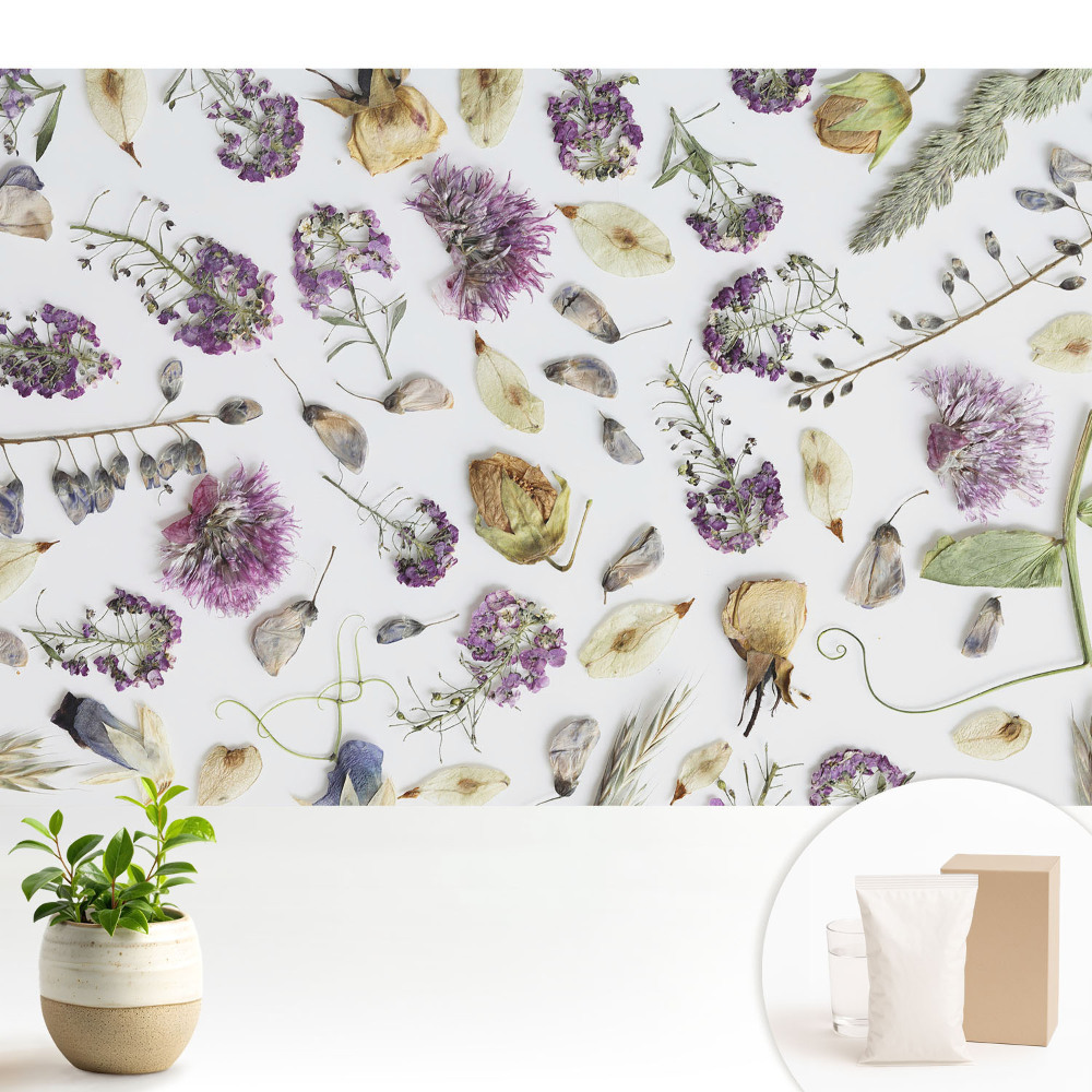 Flori uscate pe fundal alb