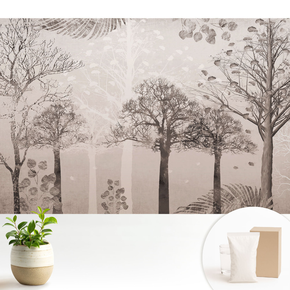 Peisaj forestier liniștitor